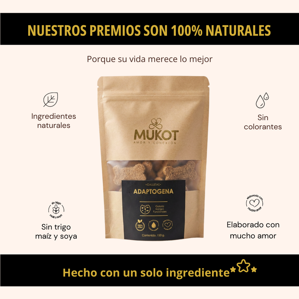 GALLETA ADAPTOGENA