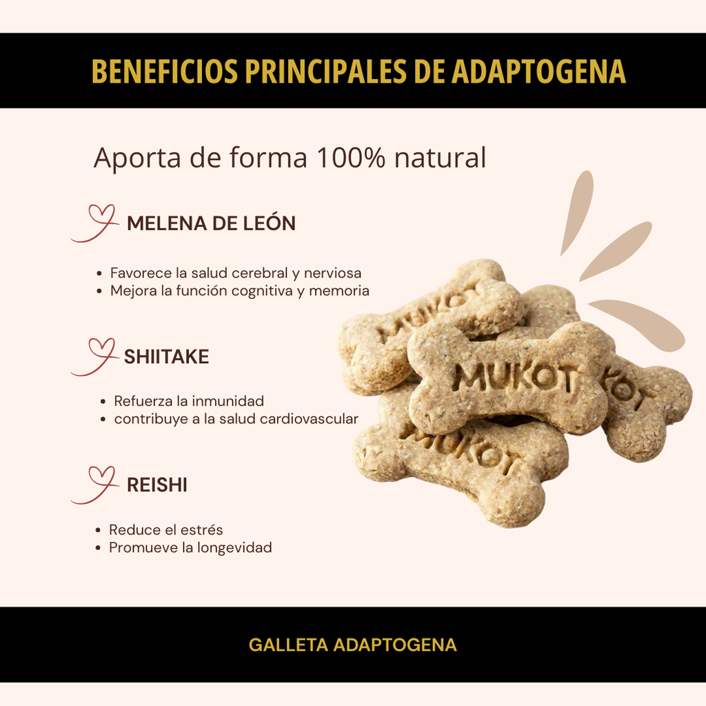 GALLETA ADAPTOGENA