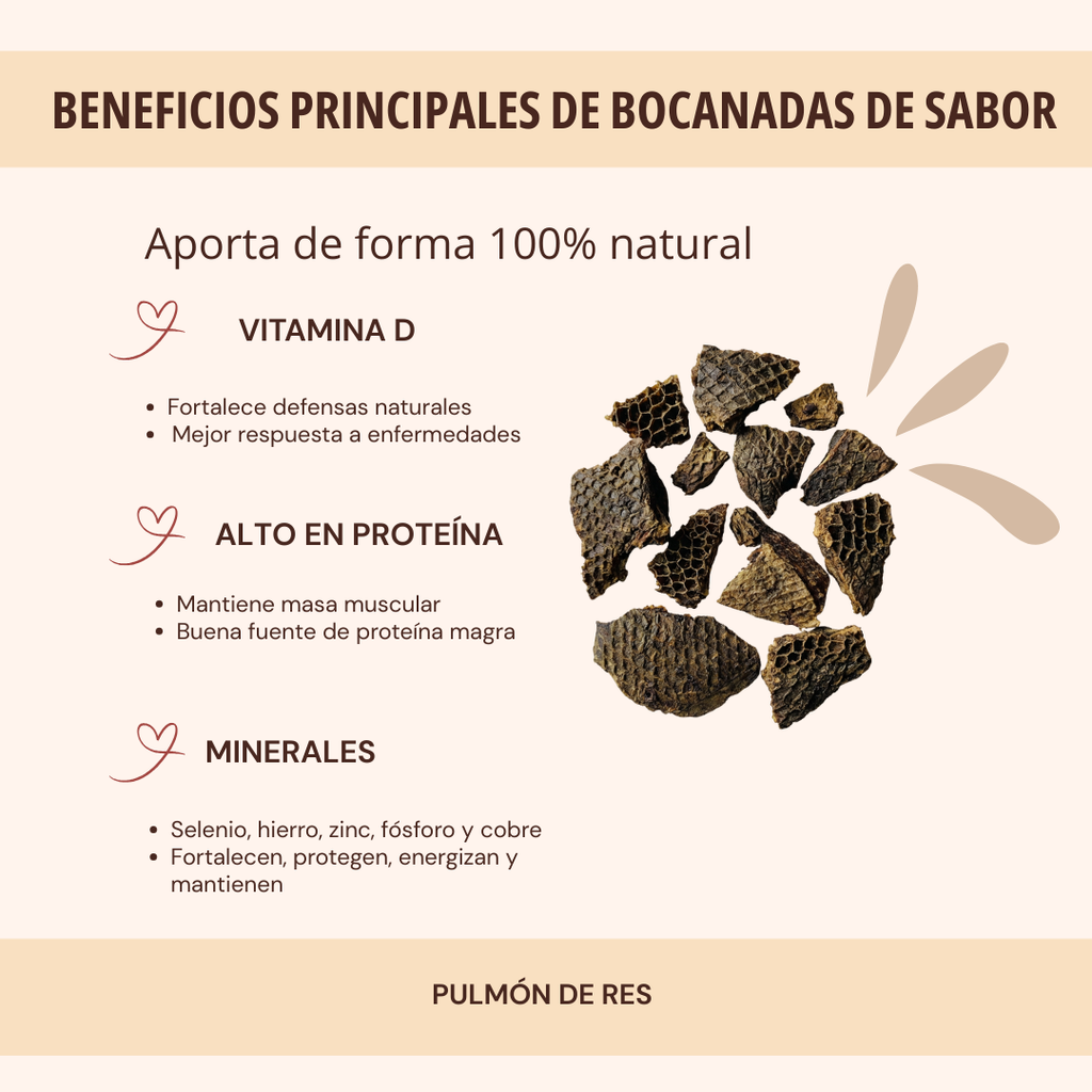 BOCANADAS DE SABOR