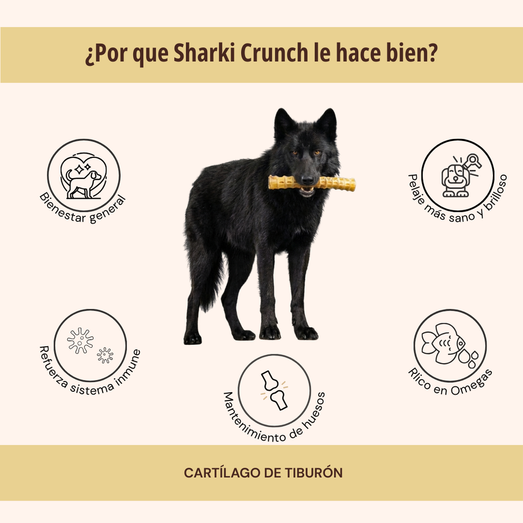 SHARKI CRUNCH 1 PZA