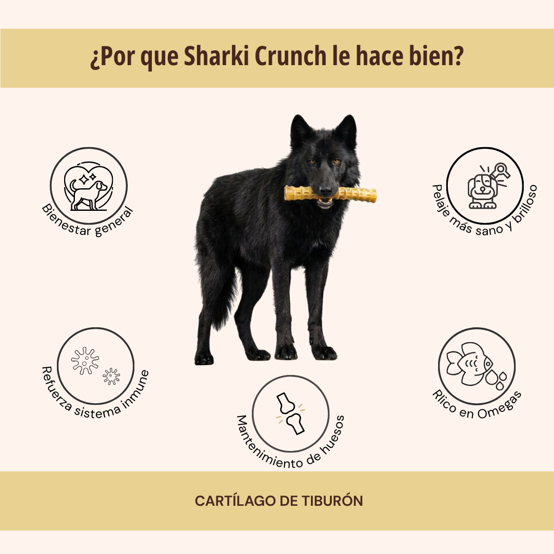 SHARKI CRUNCH 1 PZA