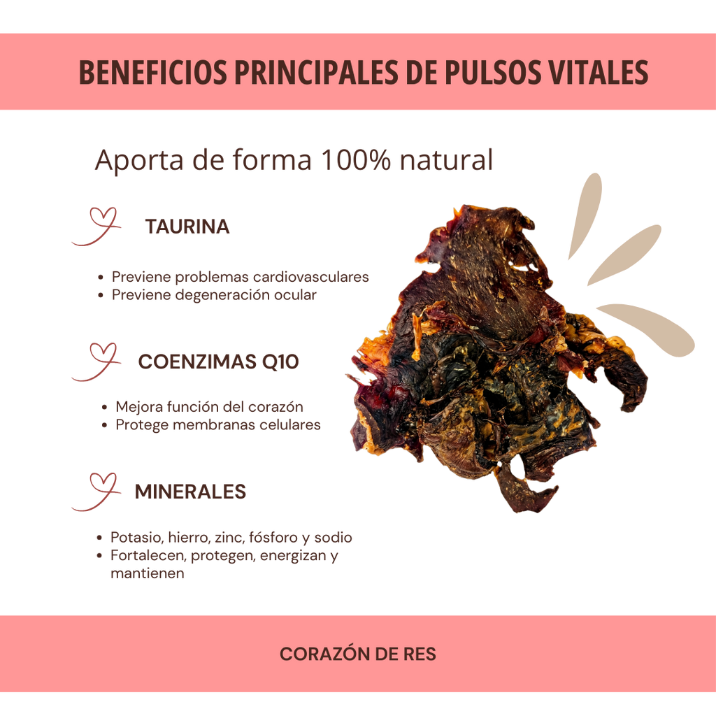 PULSOS VITALES