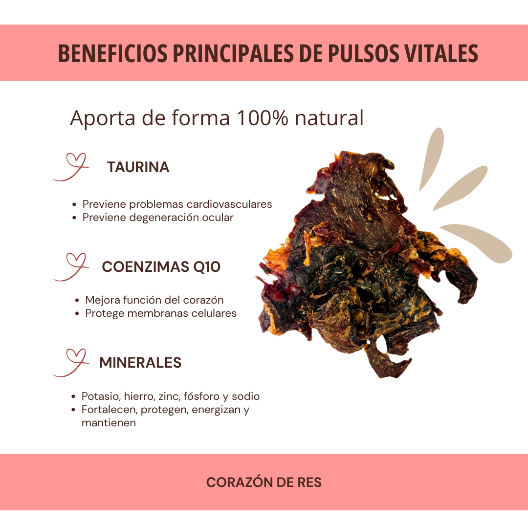 PULSOS VITALES