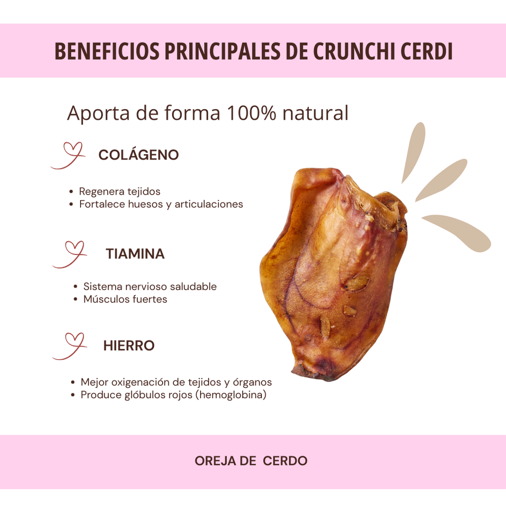 CRUNCHI CERDI
