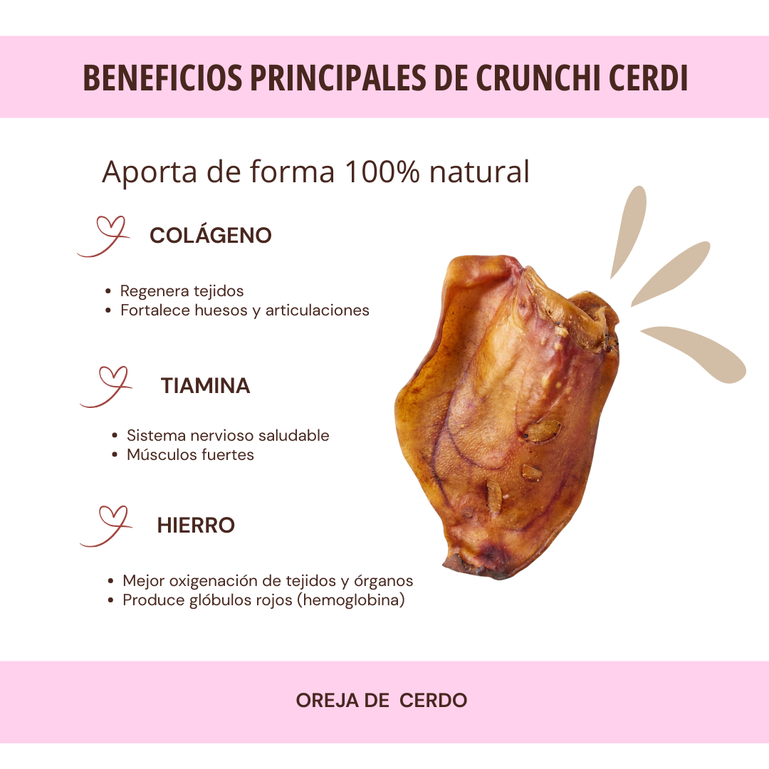 CRUNCHI CERDI