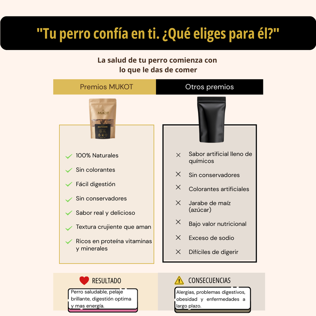 GALLETA ADAPTOGENA