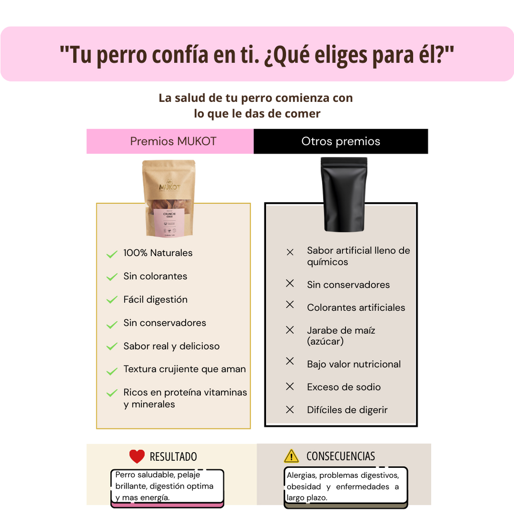 CRUNCHI CERDI