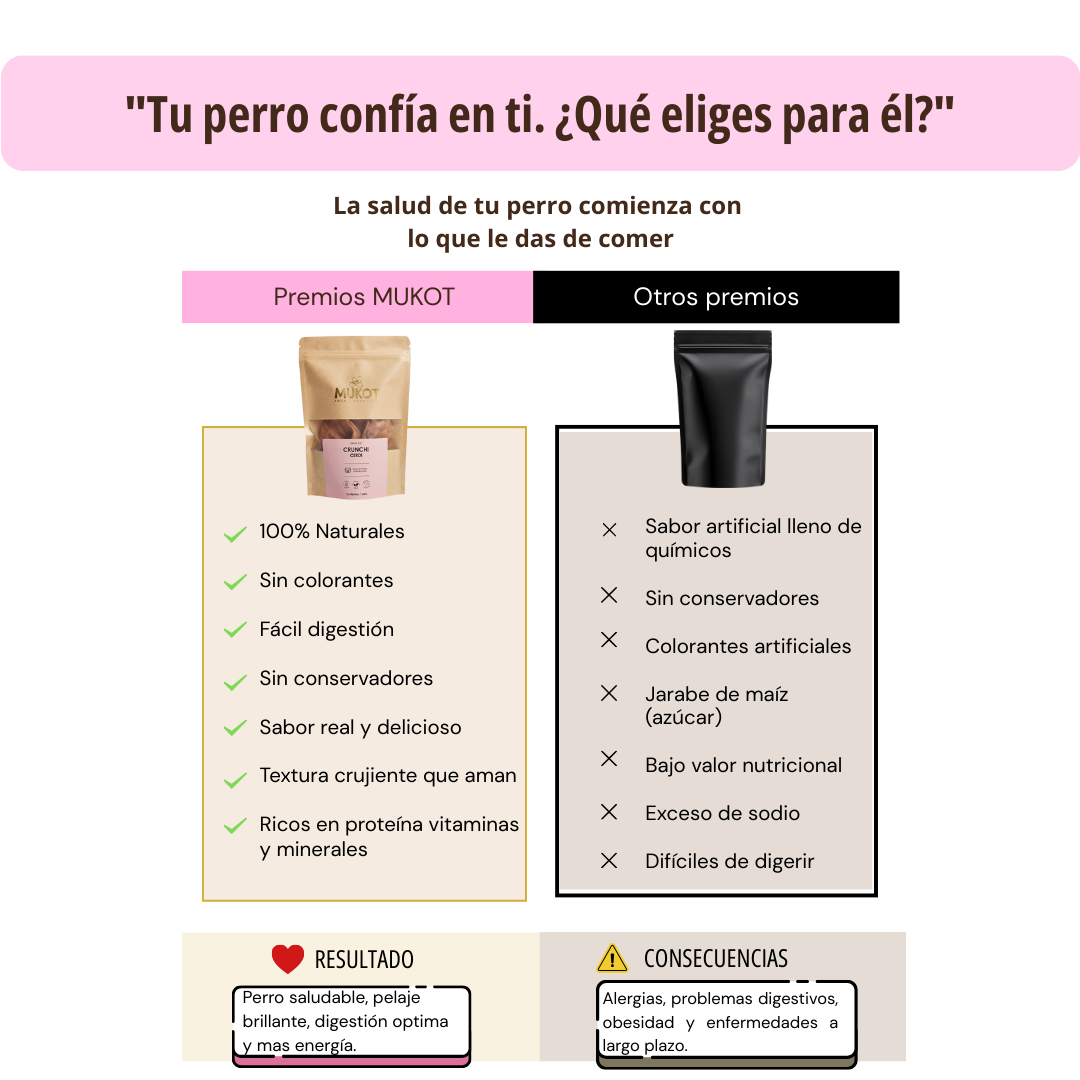 CRUNCHI CERDI