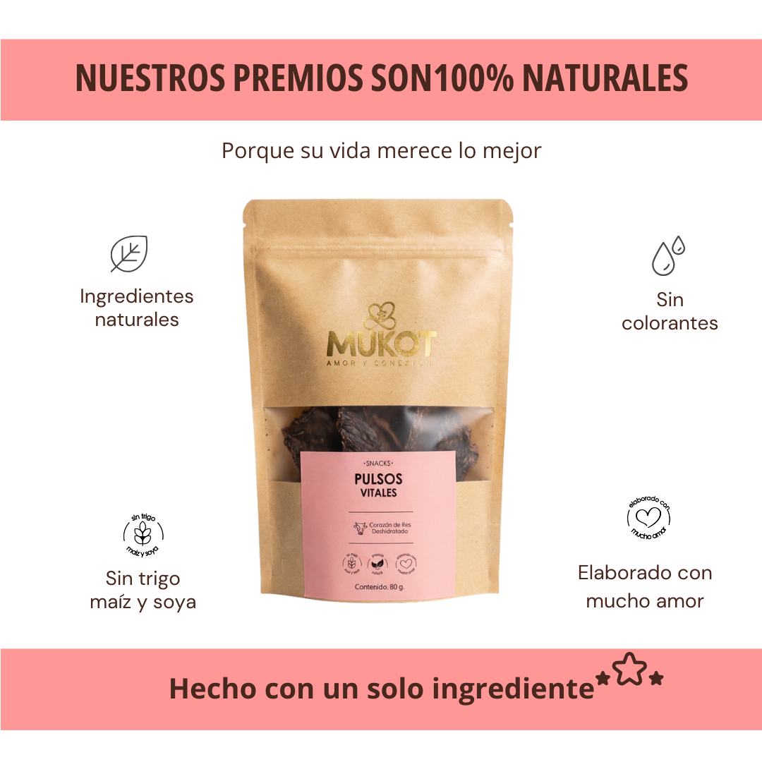 PULSOS VITALES