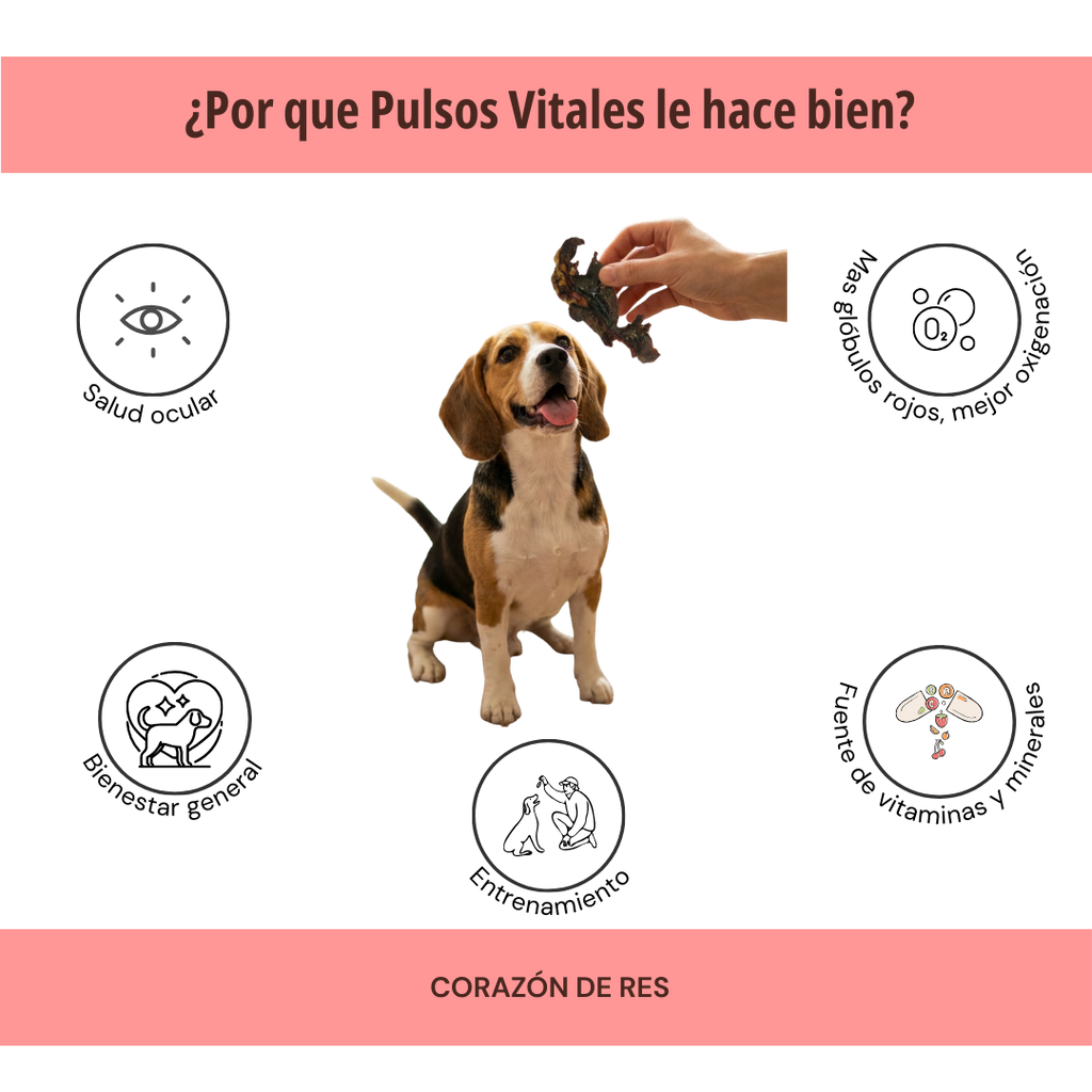 PULSOS VITALES