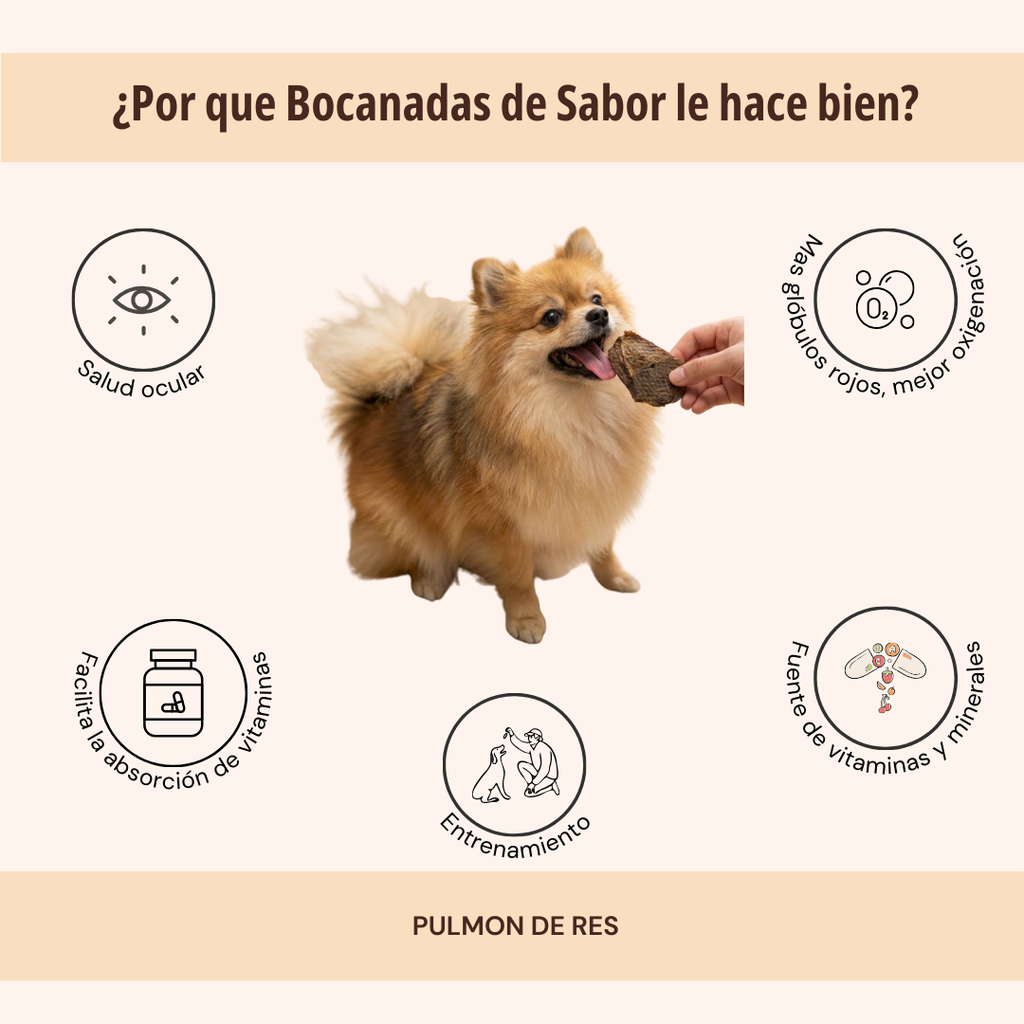 BOCANADAS DE SABOR