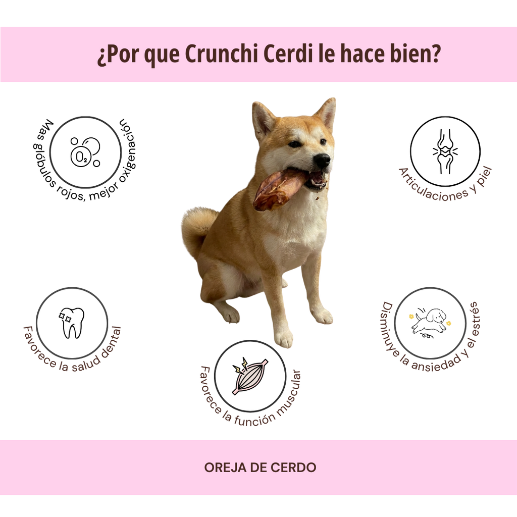 CRUNCHI CERDI