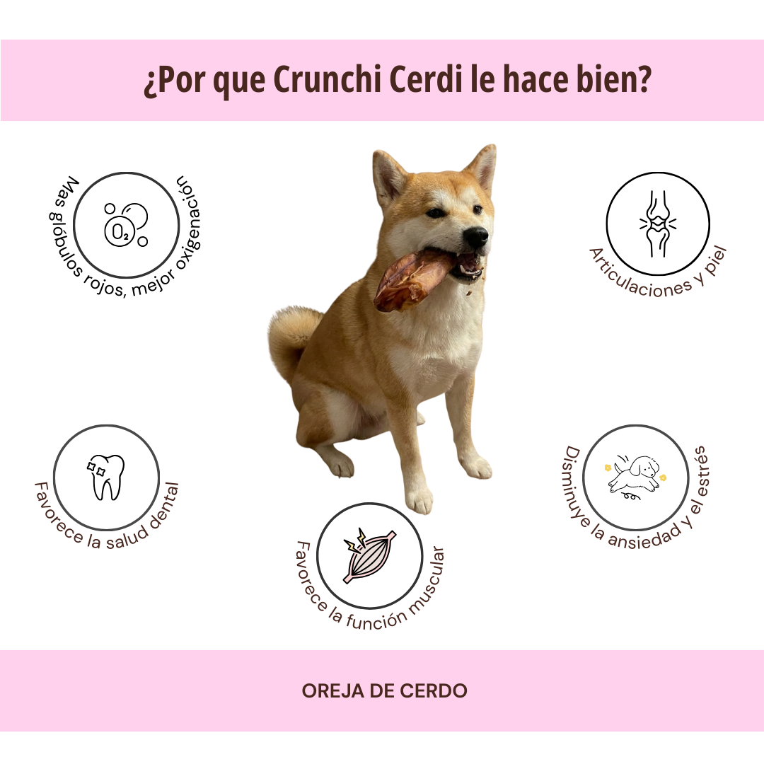 CRUNCHI CERDI