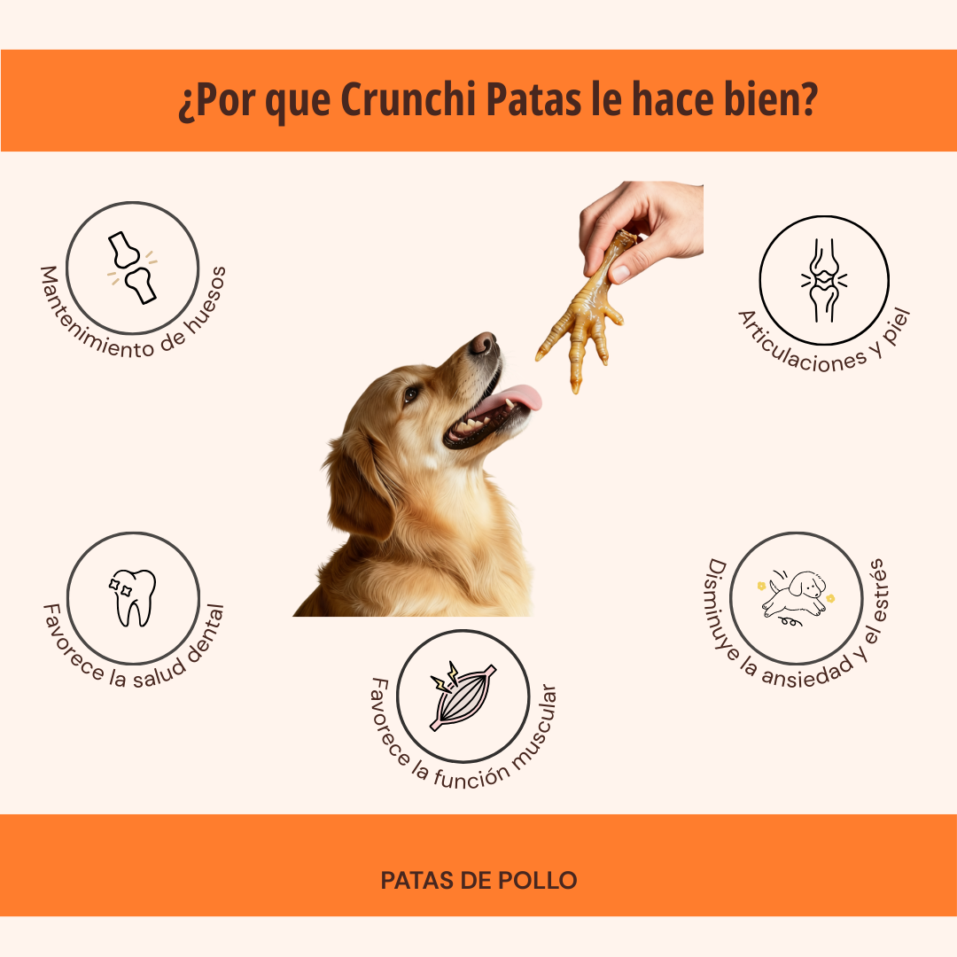 CRUNCHI PATAS