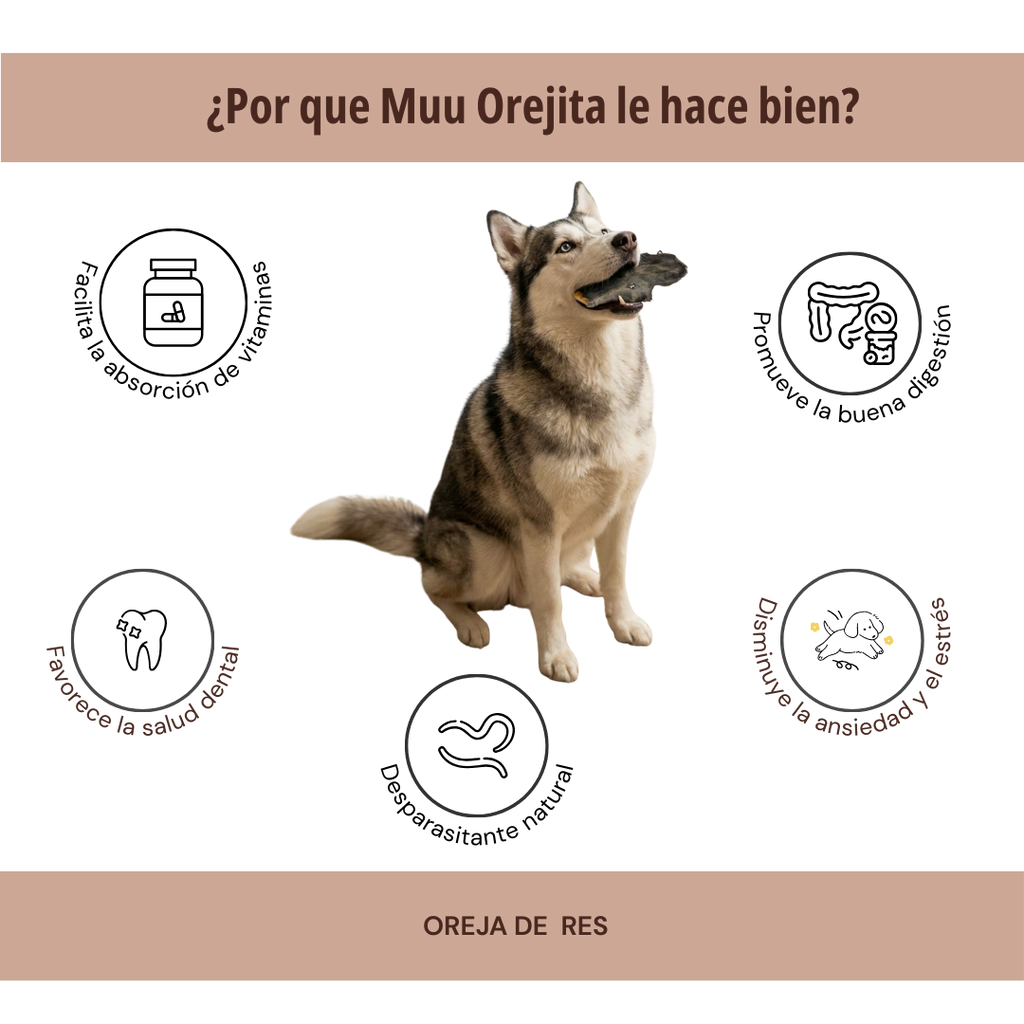 MUU OREJITA 1 PZA
