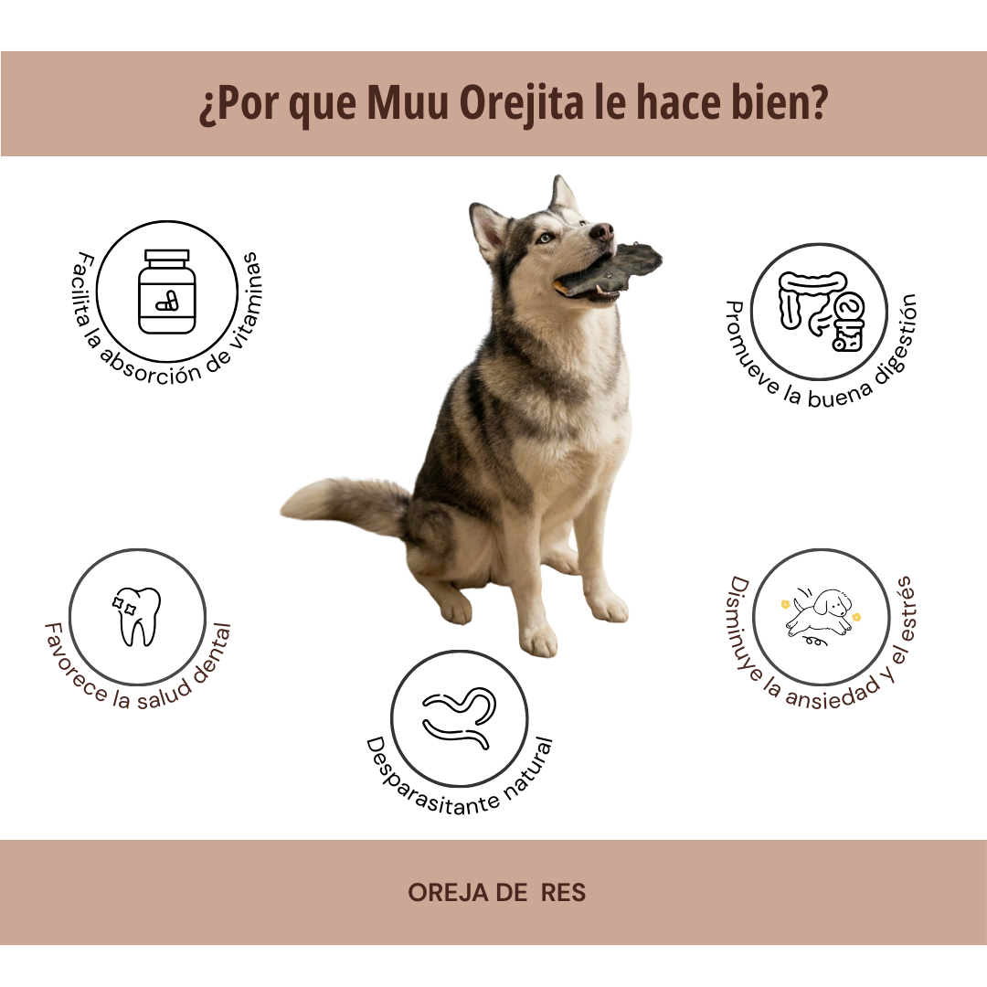 MUU OREJITA 1 PZA