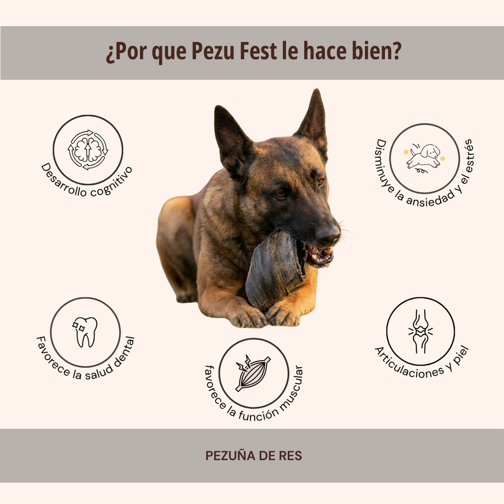 PEZU FEST 1 PZA