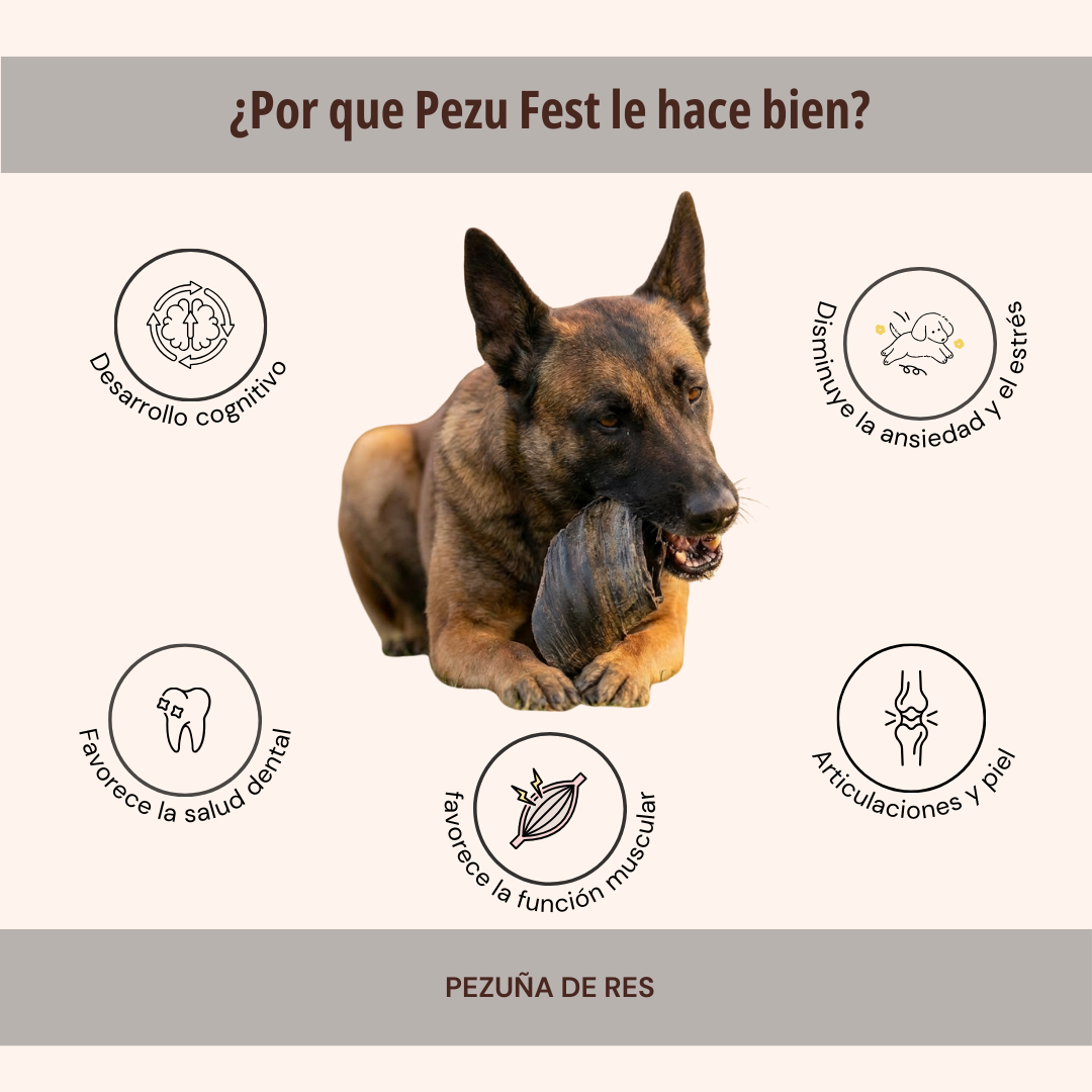 PEZU FEST 1 PZA