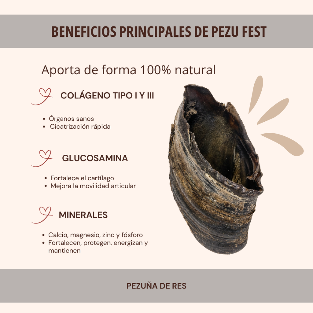 PEZU FEST 1 PZA
