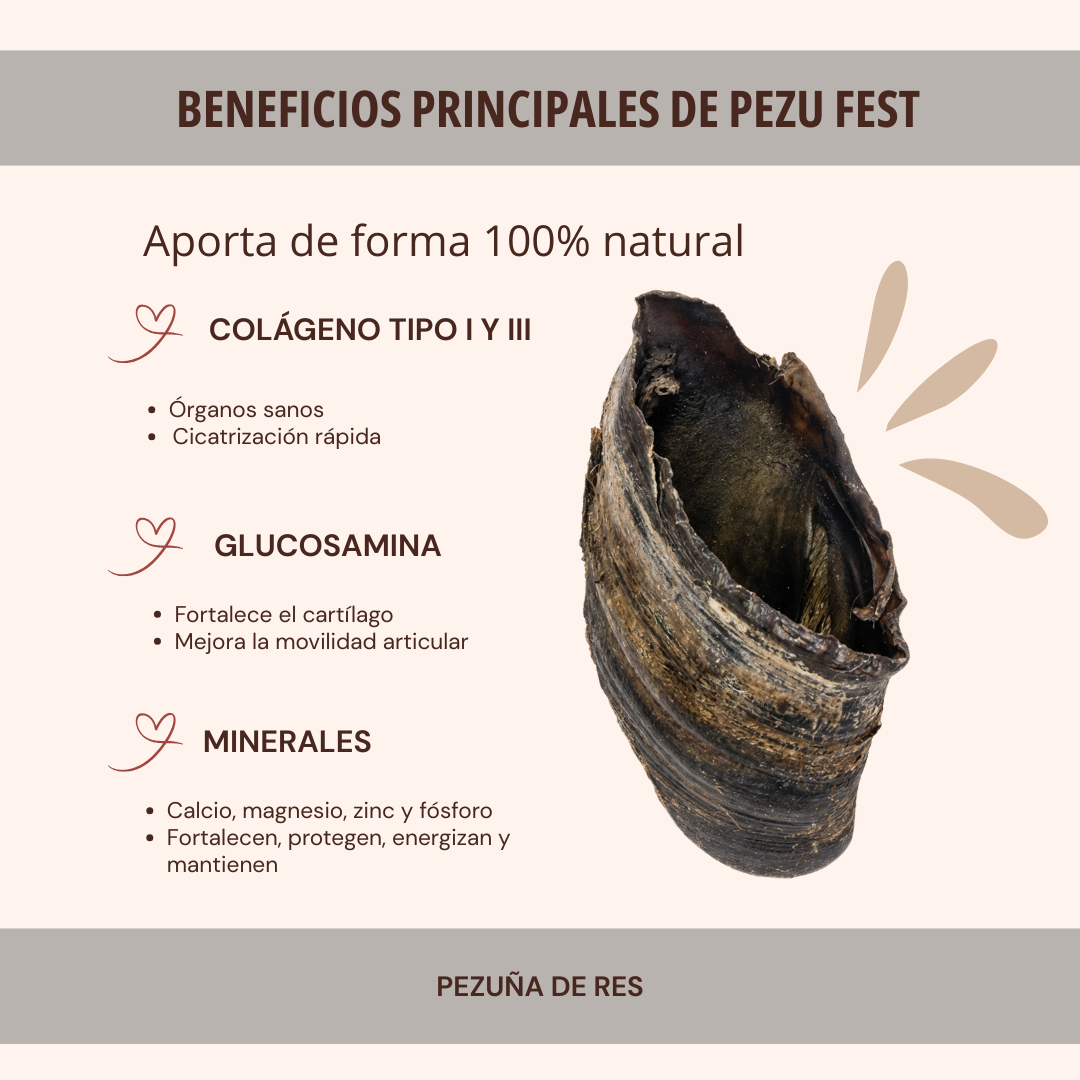 PEZU FEST 1 PZA
