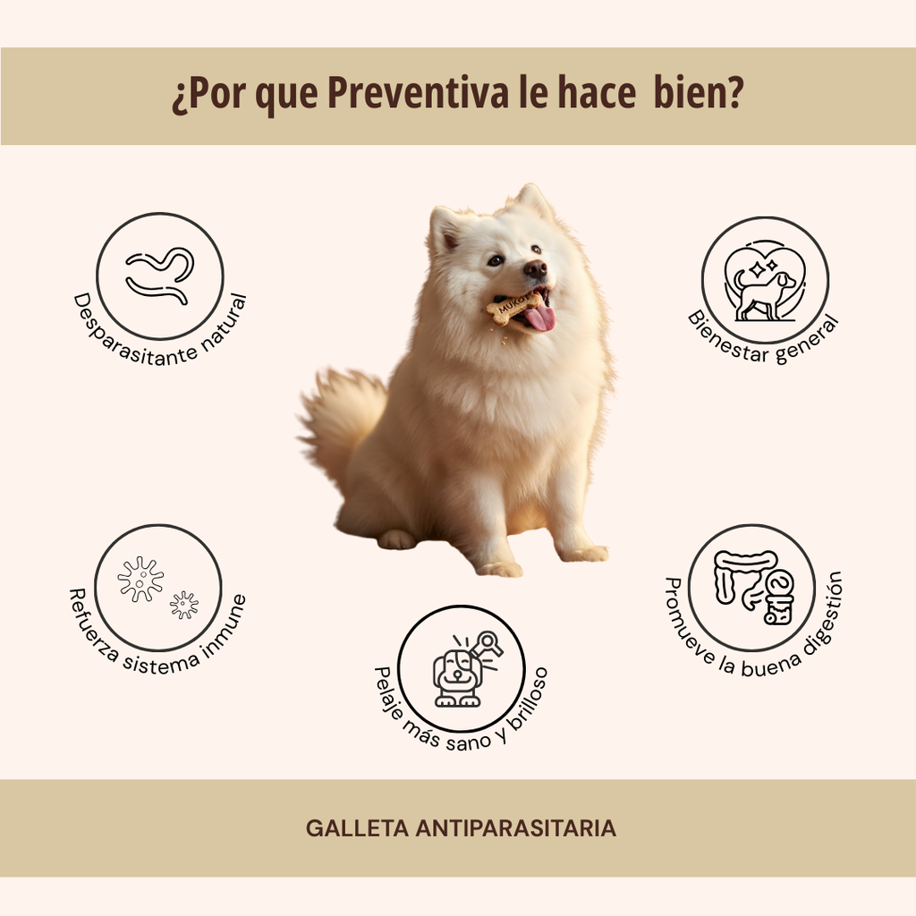 GALLETA PREVENTIVA