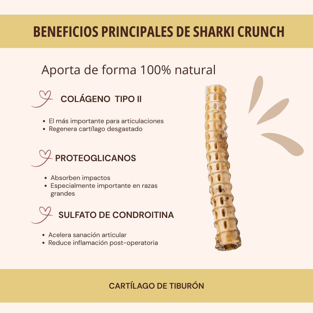 SHARKI CRUNCH 1 PZA